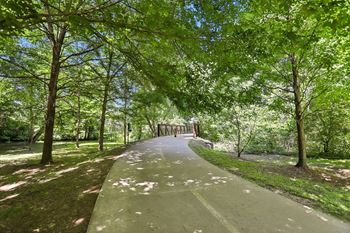 A tree-lined pathway in a park.
